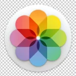 8 Apple Photos: Perfect IOS Lightroom Alternative